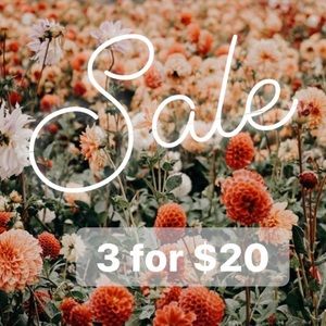 3 for $20 Sale!